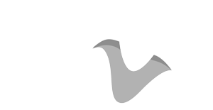 Motor Skills Assessment